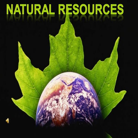Natural resources