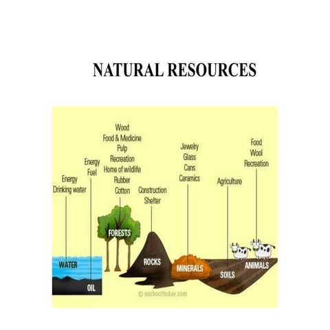 Natural resources