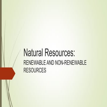 Natural Resources.pptx