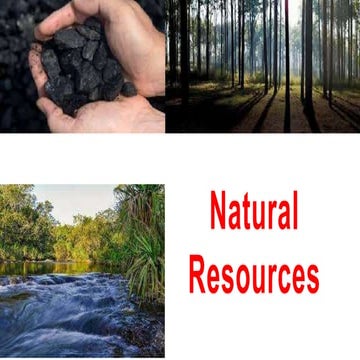 NATURAL RESOURCES Environment and Plastics