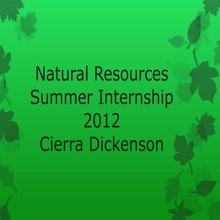 Natural Resources Summer Internship...