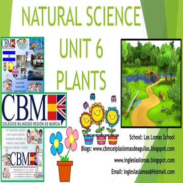 NATURAL SCIENCE - UNIT 6 - PLANTS