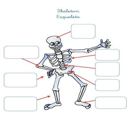 Natural science 2_unit_1_how_my_body_works_worksheet