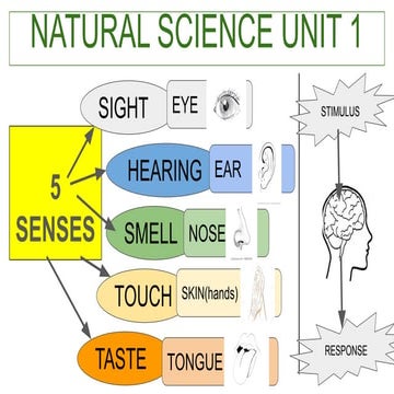 Social science unit 3 review | PDF