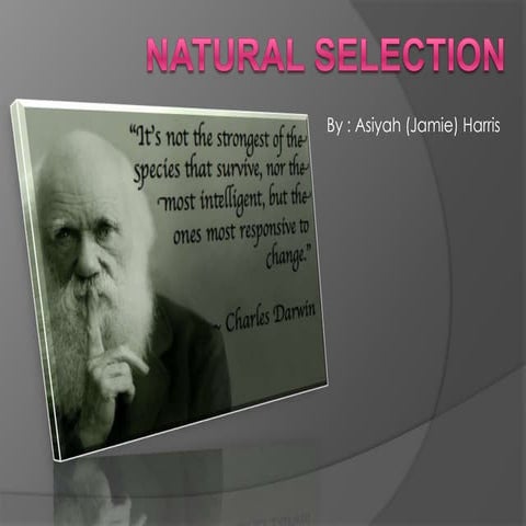 Natural Selection