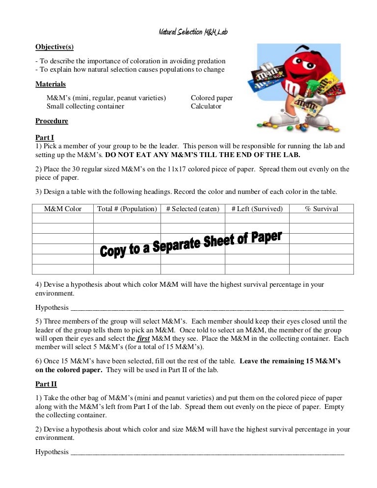 Natural selection m&m lab