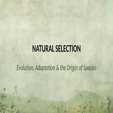 Comprehensive Exploration of Natural Selection, Evolution, and ...