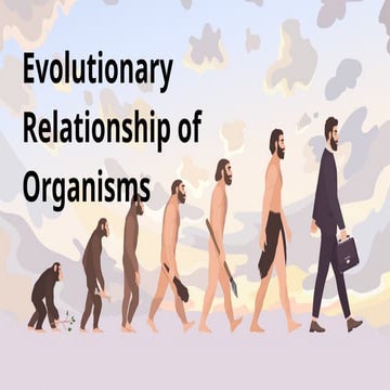 Natural Selection Science Presentation in Colorful Organic Illustrative ...