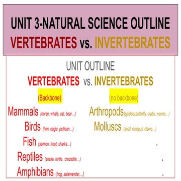 VERTEBRATES vs. INVERTEBRATES