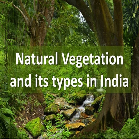 naturalvegetationanditstypesinindia-211229191930.pdf