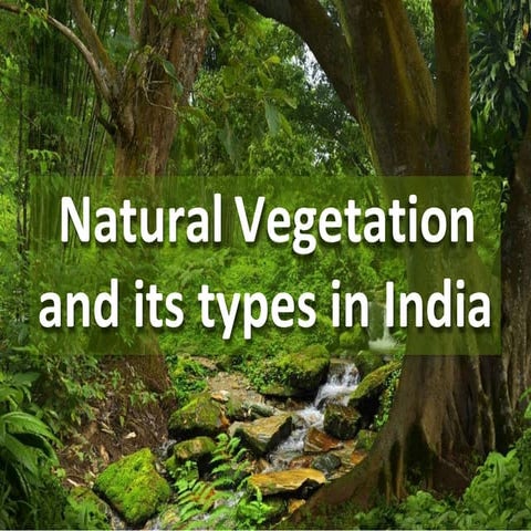 naturalvegetationanditstypesinindia-211229191930 (1).pptx