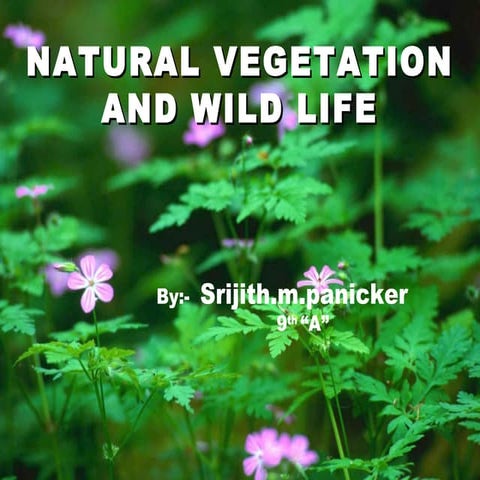 Natural vegetation and wild life