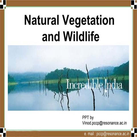 Natural vegetation and wildlife