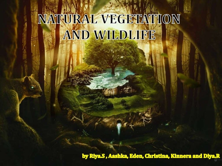 powerpoint presentation natural vegetation and wildlife