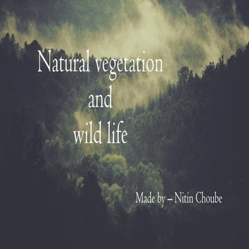 Natural vegetation  and wild life