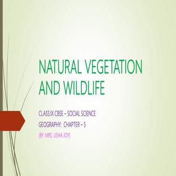 Natural vegetation and wildlife