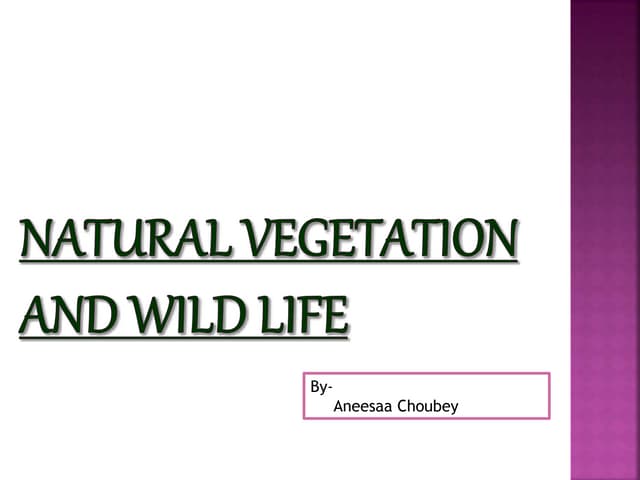Natural vegetation and wildlife 9th - 82 slides