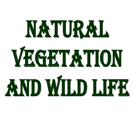 Natural vegetation and wild life 9th