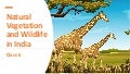 Natural vegetation and wildlife in india 1 naturalvegetationandwildlifeinindia 211113151148 thumbnail 2