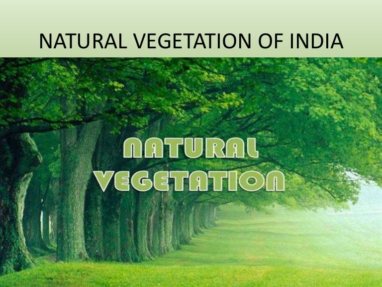 NATURAL VEGETATION AND WILDLIFE 11 CLASS GEOGRAPHY