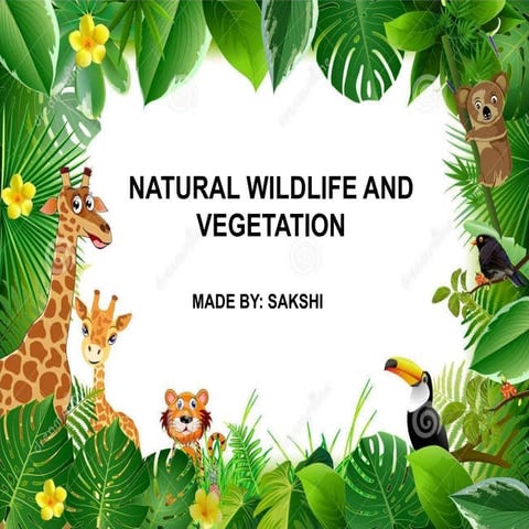 Natural wildlife and vegetation