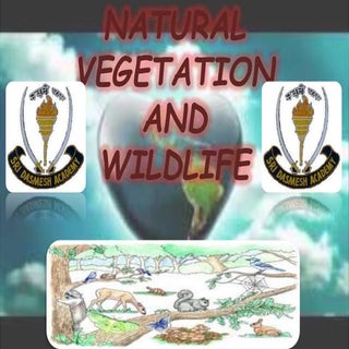 Naturar vegetation and wild life  c...