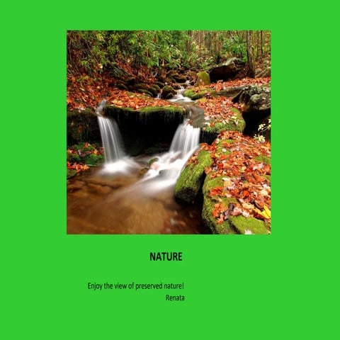 43 world class photos | PDF