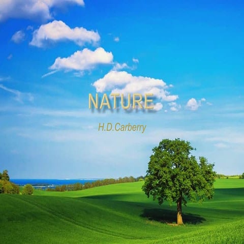Nature by H.D Carberry (Form 5 Poem)