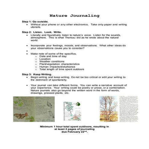 Nature journaling