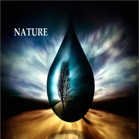 Nature Naturaleza blog.agirregabiria.net Mikel Agirregabiria