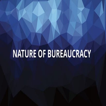 Chapter 3 bureaucracy public administration | PPTX