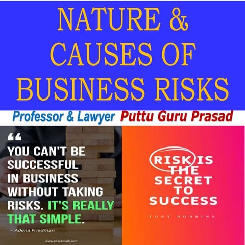 Nature and causes of business risks pgp