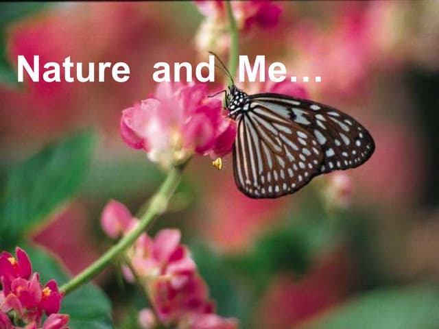 Nature and me: God's precious gift