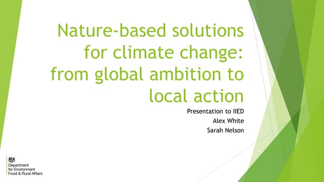 Nature-based solutions for climate change: from global ambition to local action