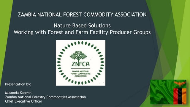 Nature-based solutions: working with forest and farm facility producer groups