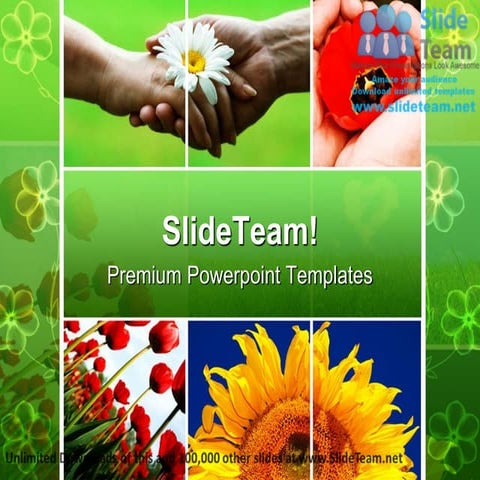 Back To School Education Power Point Templates Themes And Backgrounds 