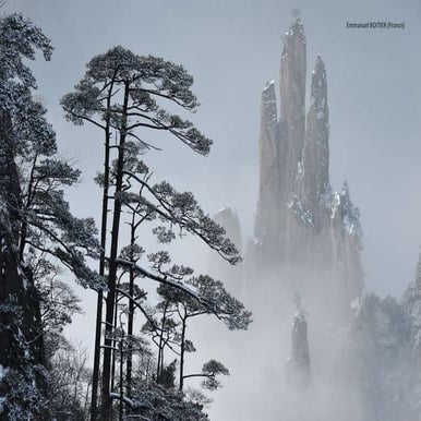 Nature Image Awards: Winners 2015