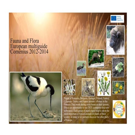 Nature in the Lens - Fauna and Flora - European Multiguide
