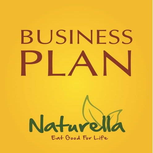 Comprehensive Business Plan