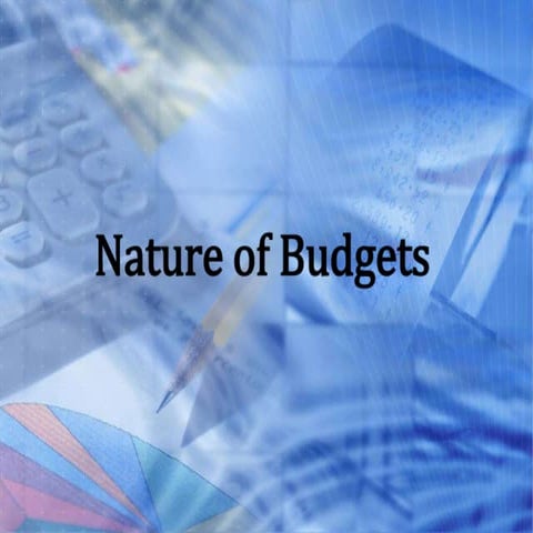 Nature of Budgets