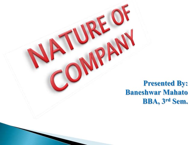 Nature of company