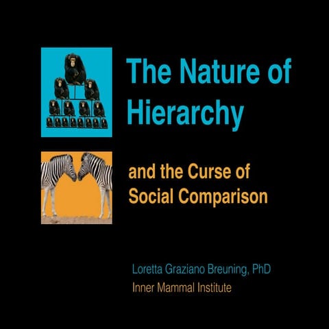 The Nature of Hierarchy and the Curse of Social Comparison