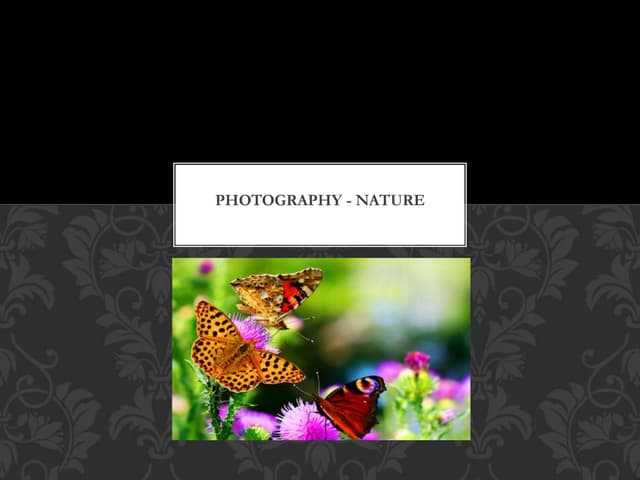 Nature photograhpy!