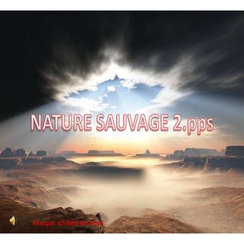 Nature Sauvage 2