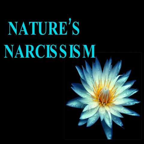 Nature's Narcissism