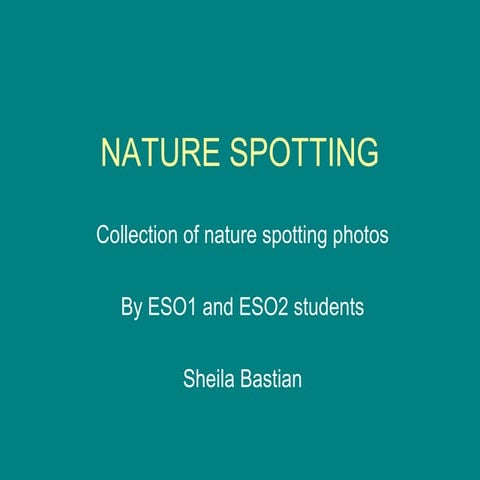 Nature spotting