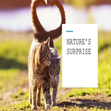 "Nature's Power: Life, Balance & Healing"