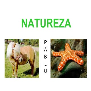Natureza Pablo