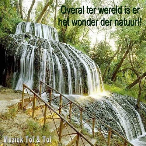 Maravillosa Naturaleza