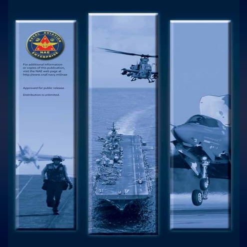 Naval aviation vision